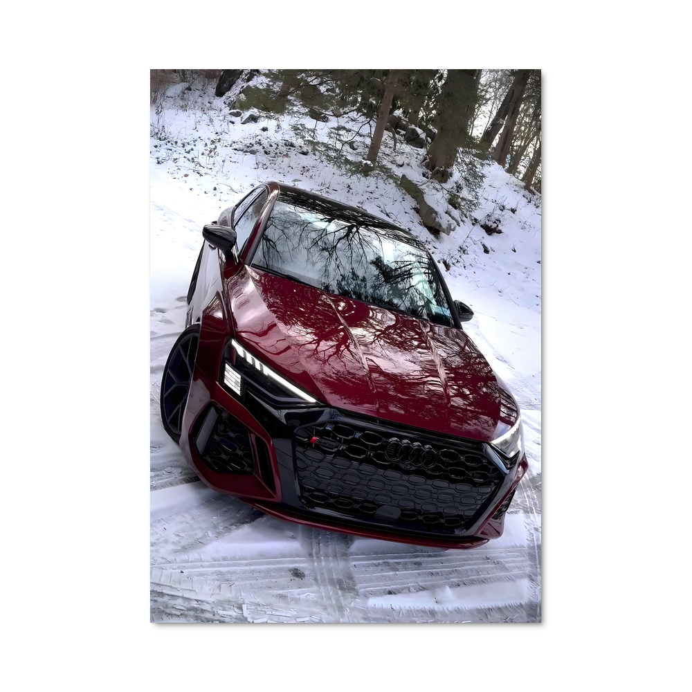 Poster Neige et Civic